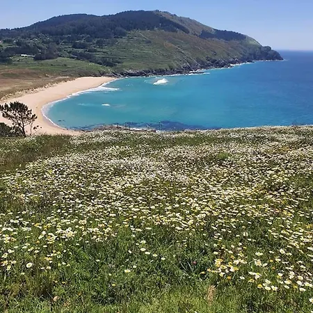 Rustico Prado Da Vina فينيستيري