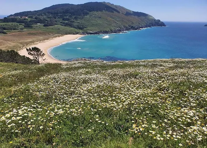 Rustico Prado Da Vina Finisterre